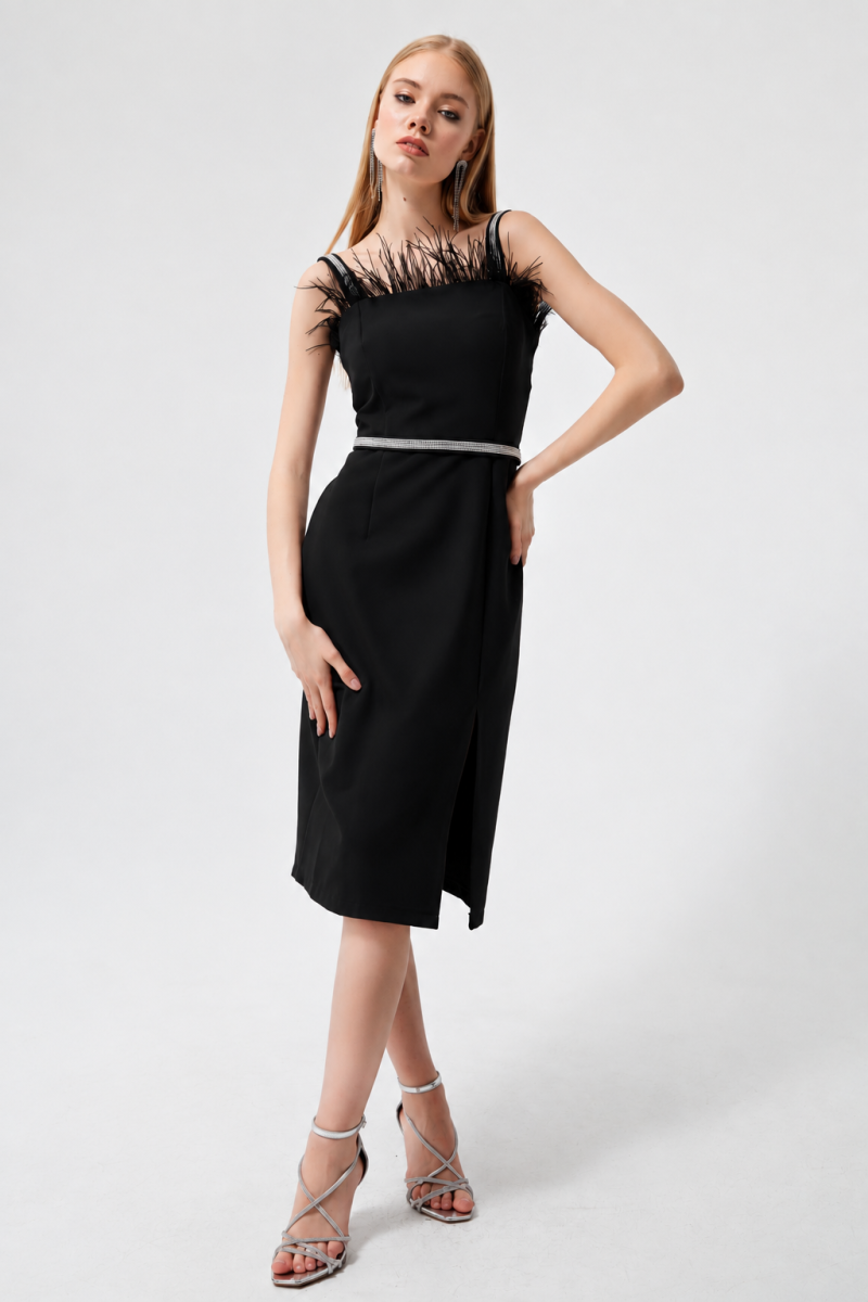 فستان ميدي بتفاصيل الريش وحزام الكريستال (Feather-Trimmed Midi Dress with Crystal Belt) - صورة 1